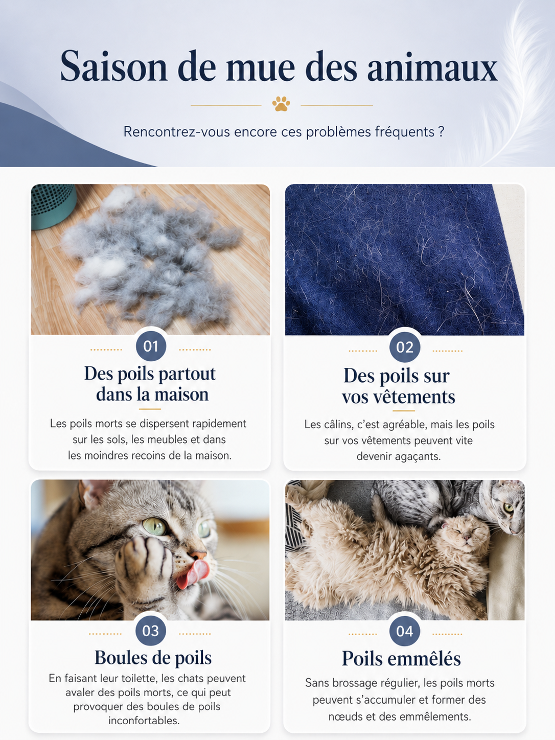 brosse auto-nettoyante